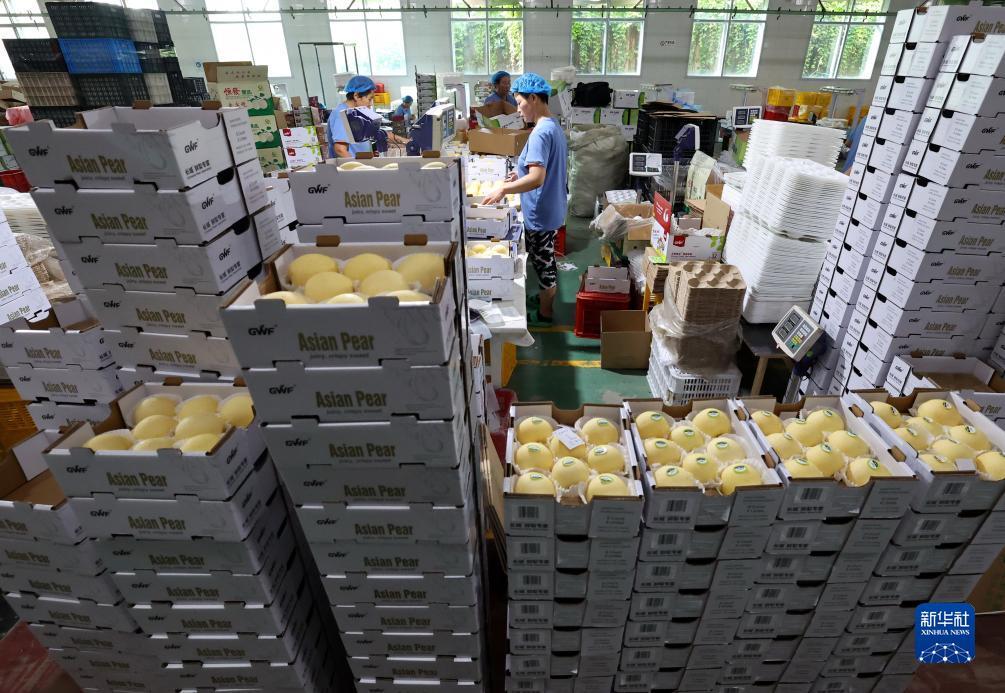 白菜送彩金59网站大全